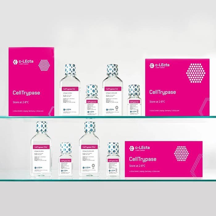 CellTrypase重组胰酶消化液