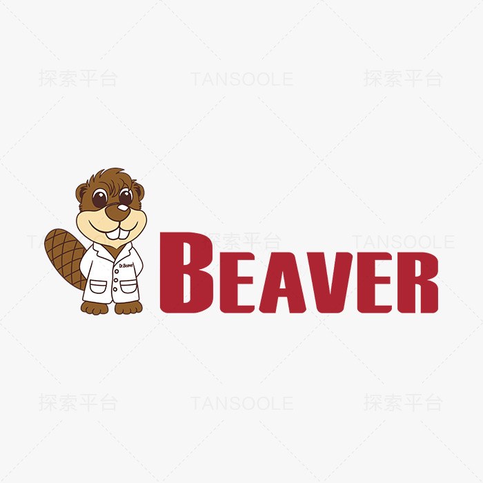 DEAE磁珠