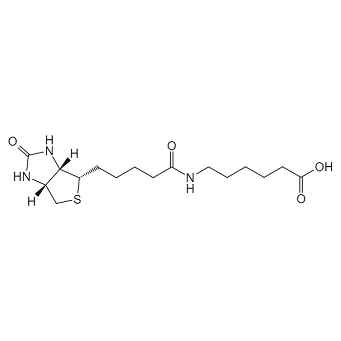 6-生物素氨基己酸