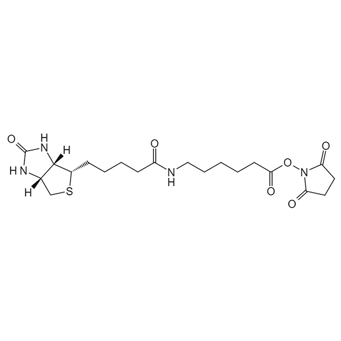 2,5-二氧代吡咯烷-1-基6-(5-((3aS,4S,6aR)-2-氧代六氢-1H-噻吩并[3,4-d]咪唑-4-基)戊酰胺基)己酸酯 - BIOMATRIK/浙江博美生物