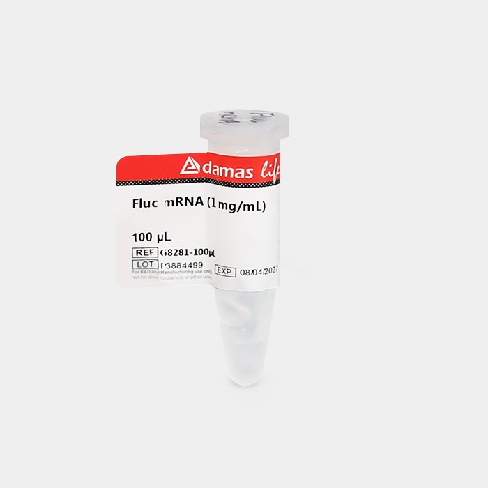 Fluc mRNA 溶液