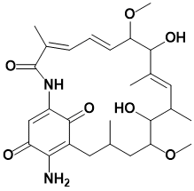 7-去氨甲酰基17-氨基格尔德霉素 - Adamas