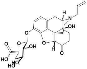 纳洛酮3-&beta;-D-葡糖醛酸 - Adamas