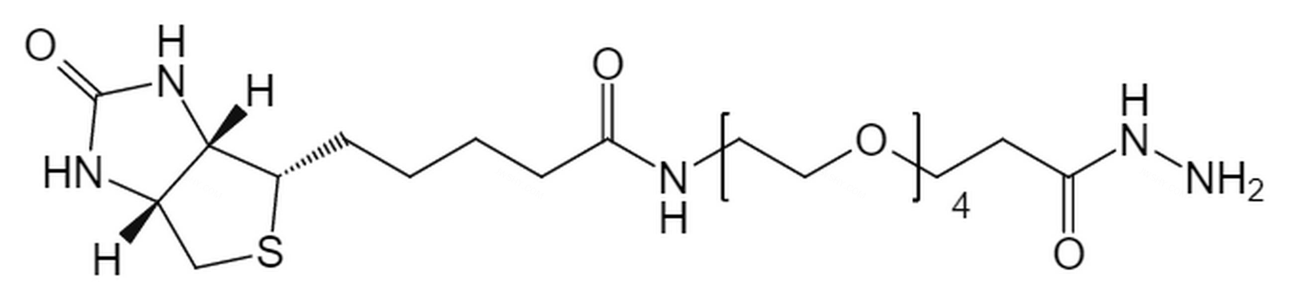 生物素-PEG4-酰肼 - BIOMATRIK/浙江博美生物