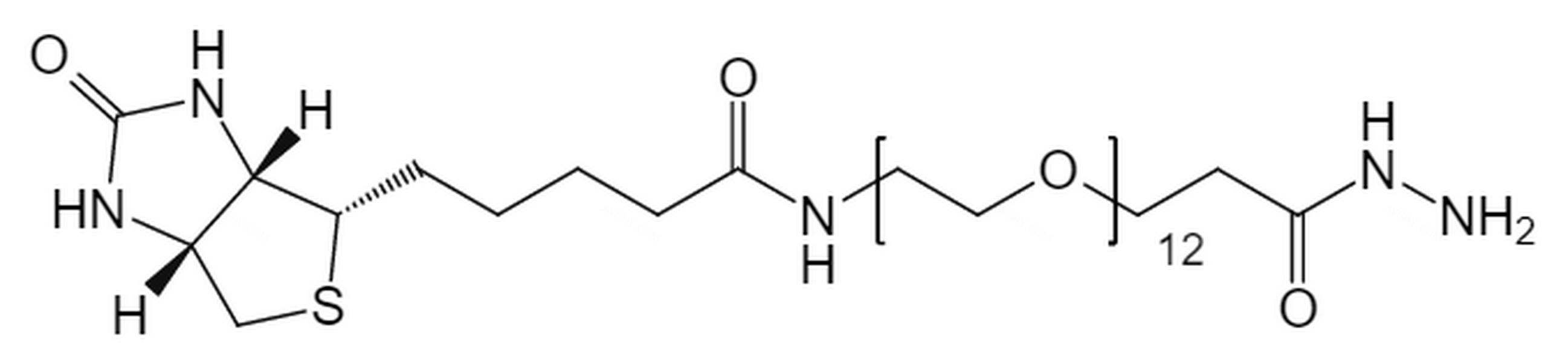 生物素-PEG12-酰肼