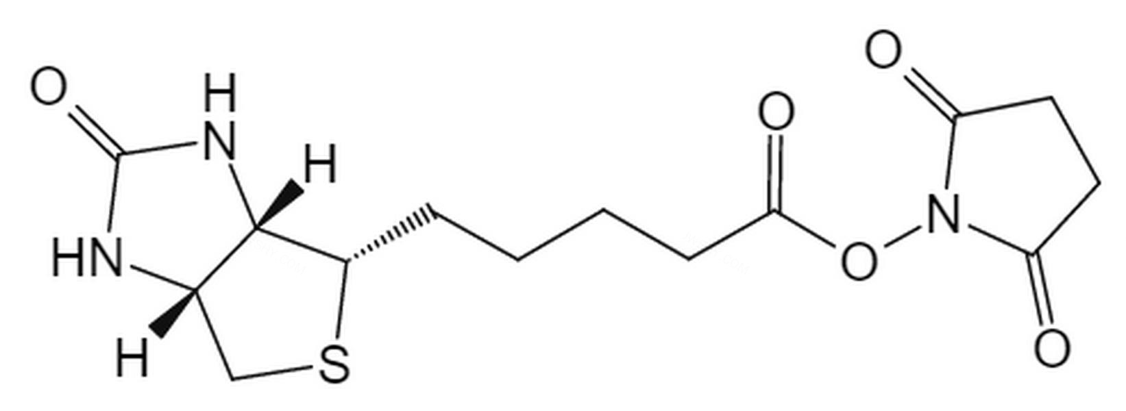 (+)-生物素-N-羟基琥珀酰亚胺酯 - BIOMATRIK/浙江博美生物