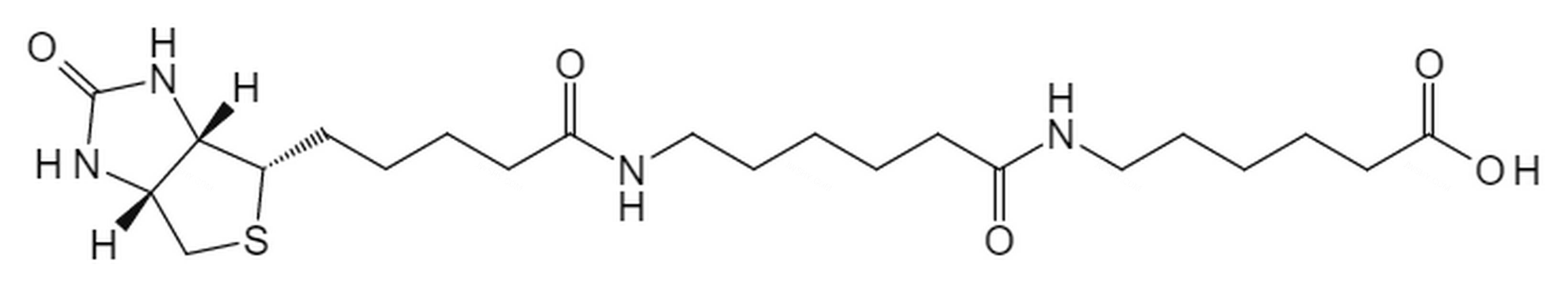 6-(6-(5-((3aS,4S,6aR)-2-氧代六氢-1H-噻吩并[3,4-d]咪唑-4-基)戊酰氨基)己酰胺基)己