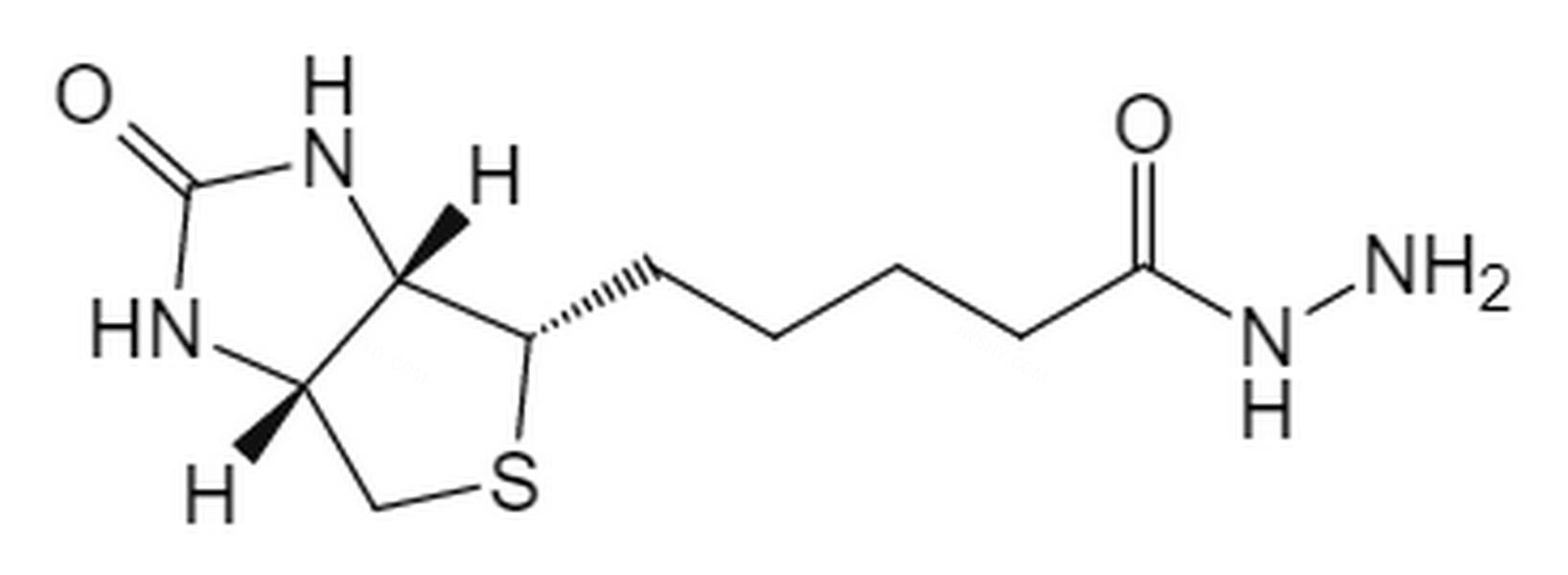 生物素酰肼 - BIOMATRIK/浙江博美生物