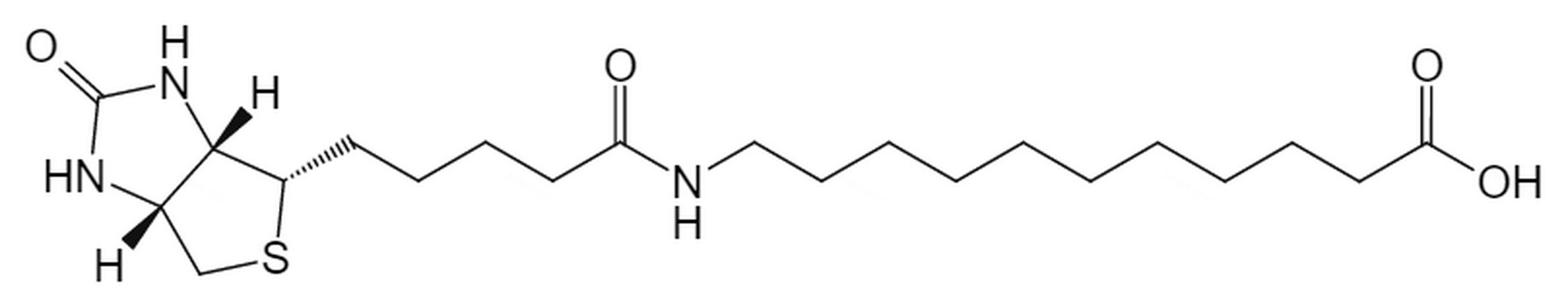 (+)-生物素SLC