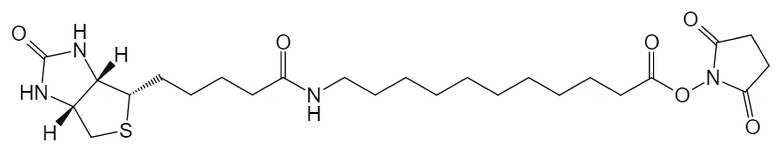 试剂-(+)-Biotin-SLC-NHS