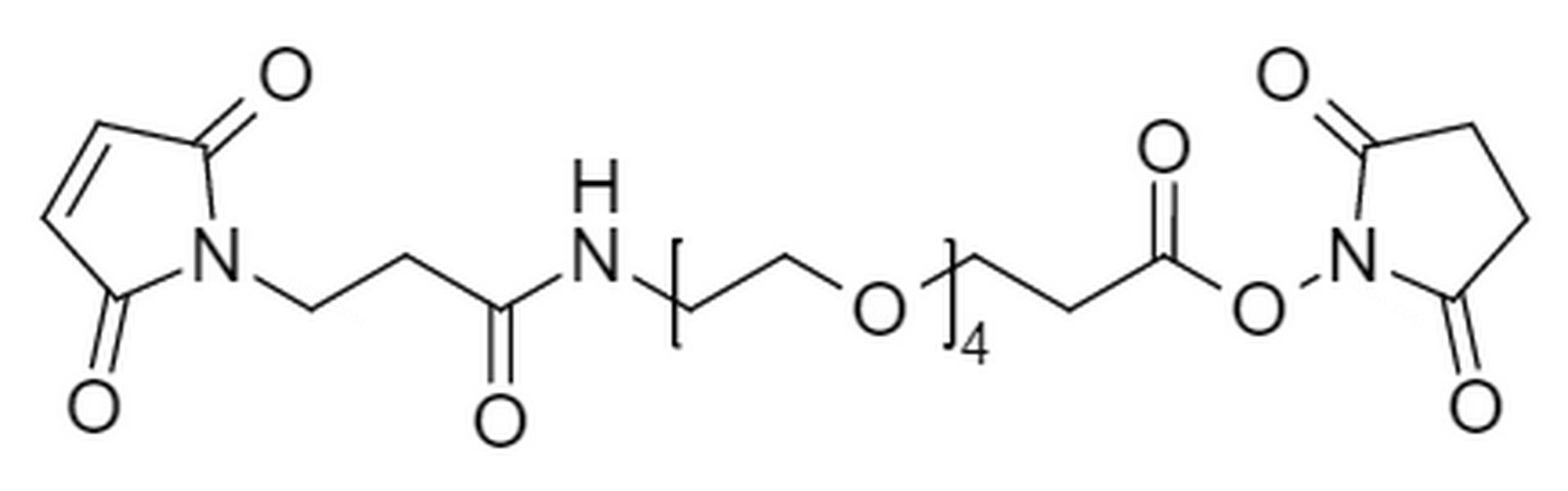 O-[N-(3-马来酰亚胺丙酰)氨基乙基]-O&prime;-[3-(N-琥珀酰亚氨氧基)-3-氧代丙基]三甘醇