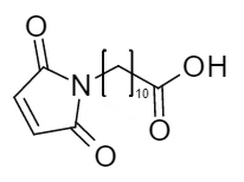 11-马来酰胺基十一烷酸 - BIOMATRIK/浙江博美生物