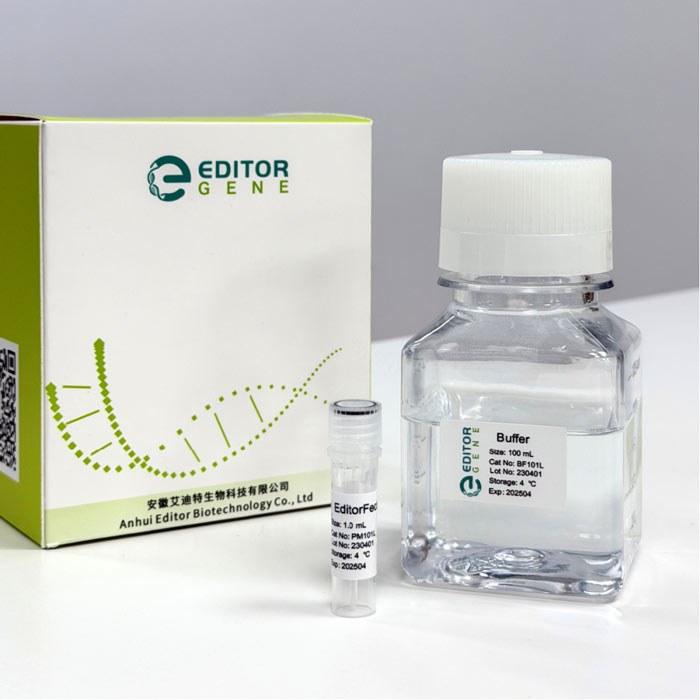 DNA转染试剂（10X, 适用于普通细胞、难转染细胞、原代细胞等） - Editorgene/艾迪特生物