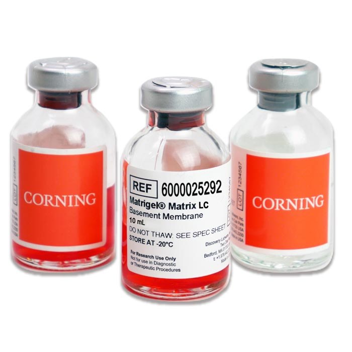 Corning Matrigel 基质胶，含酚红，低浓度