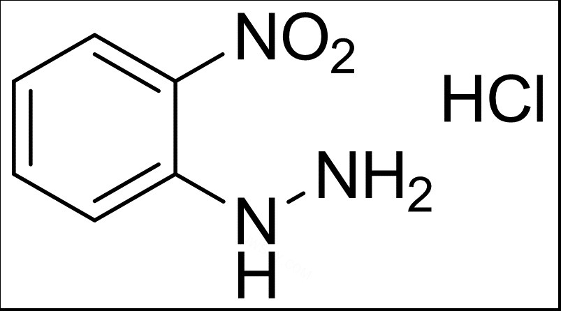2-硝基苯肼盐酸盐