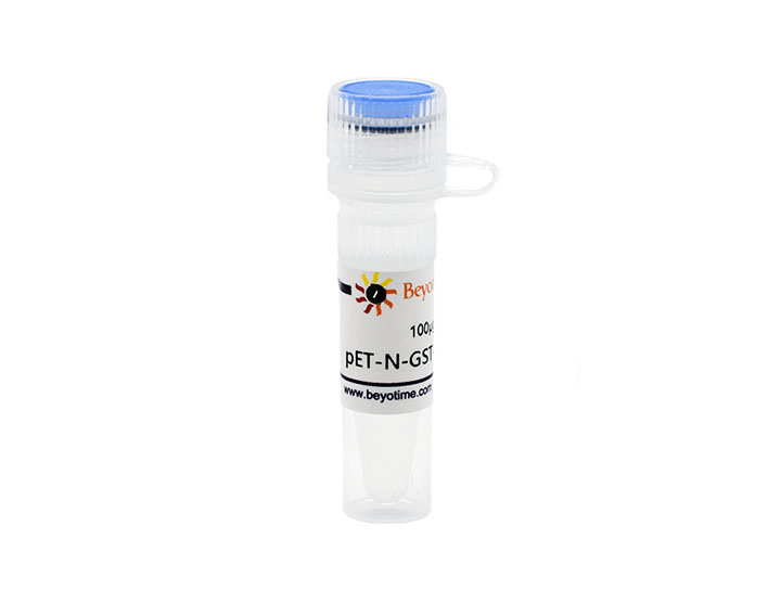 pET-N-GST-PreScission - Beyotime/碧云天