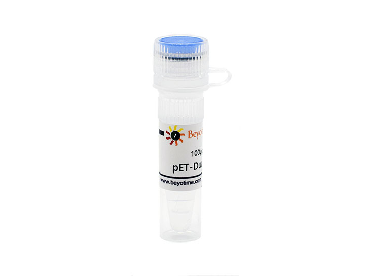 pET-Dual-N-GST - Beyotime/碧云天