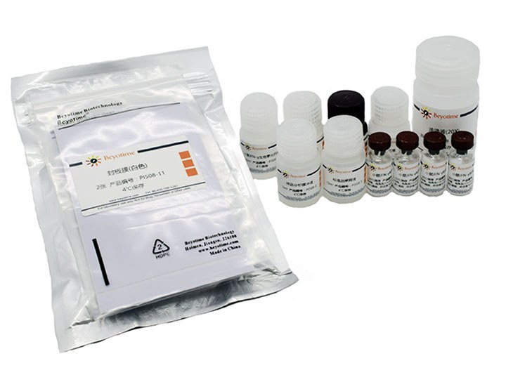 试剂盒Mouse IFN-&gamma; ELISA Kit - Beyotime/碧云天