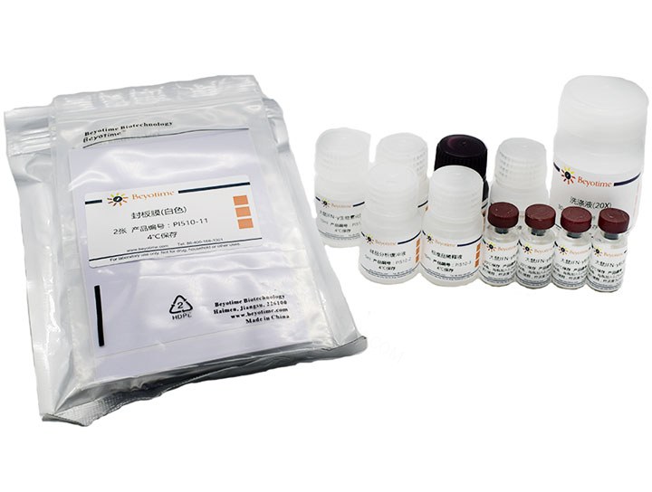 试剂盒Rat IFN-&gamma; ELISA Kit - Beyotime/碧云天