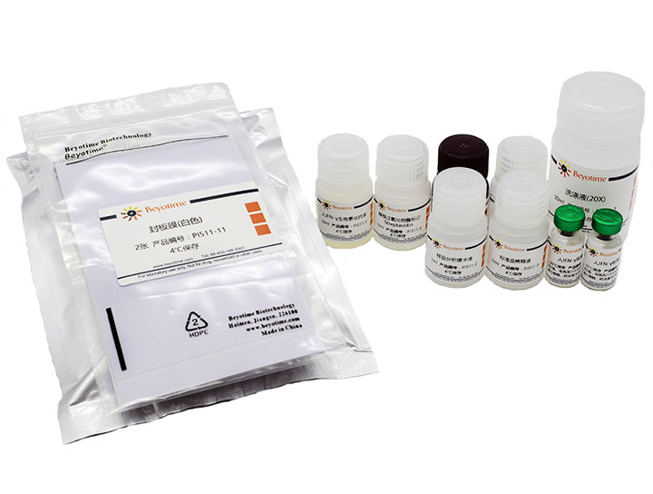 试剂盒Human IFN-&gamma; ELISA Kit - Beyotime/碧云天