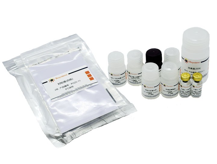 试剂盒Rat IL-10 ELISA Kit - Beyotime/碧云天