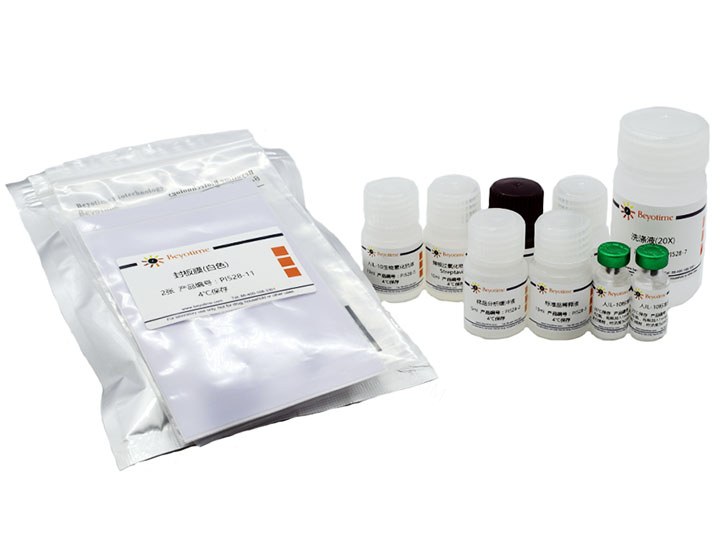 试剂盒Human IL-10 ELISA Kit - Beyotime/碧云天
