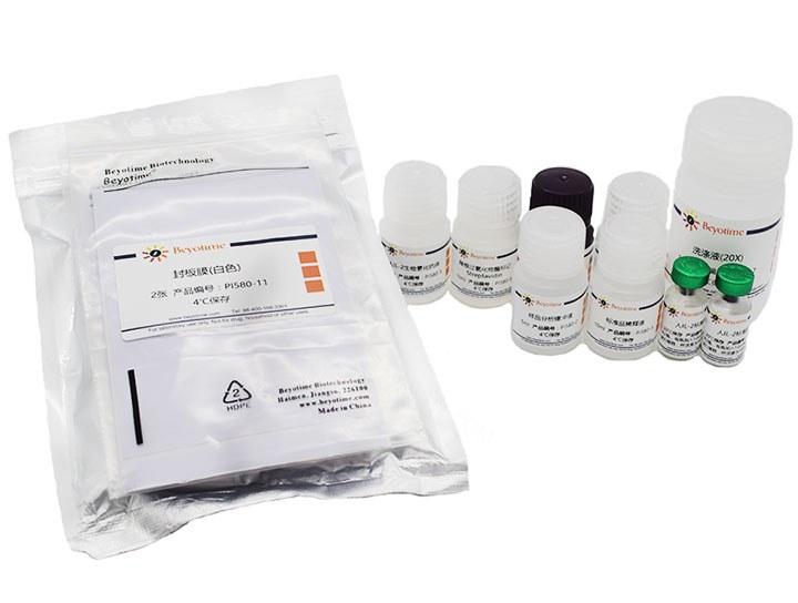 试剂盒Human IL-2 ELISA Kit