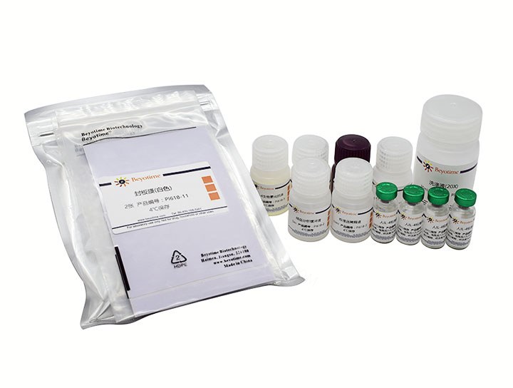 试剂盒Human IL-4 ELISA Kit - Beyotime/碧云天