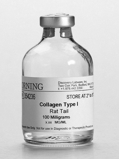 Corning I型胶原蛋白，鼠尾(354236)