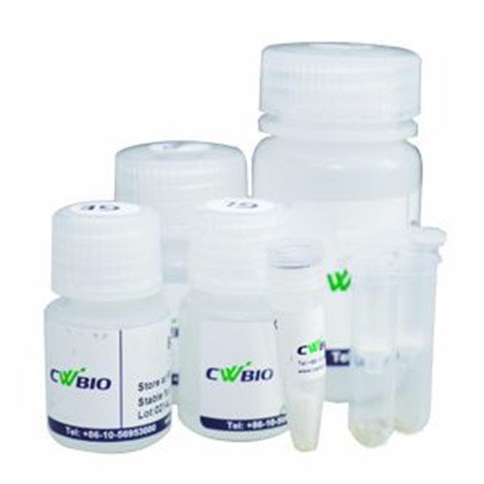 Saliva DNA Kit 试剂盒
