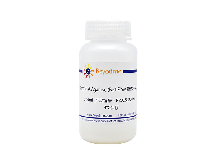 Protein A+G 琼脂糖(Fast Flow, 抗体纯化用)
