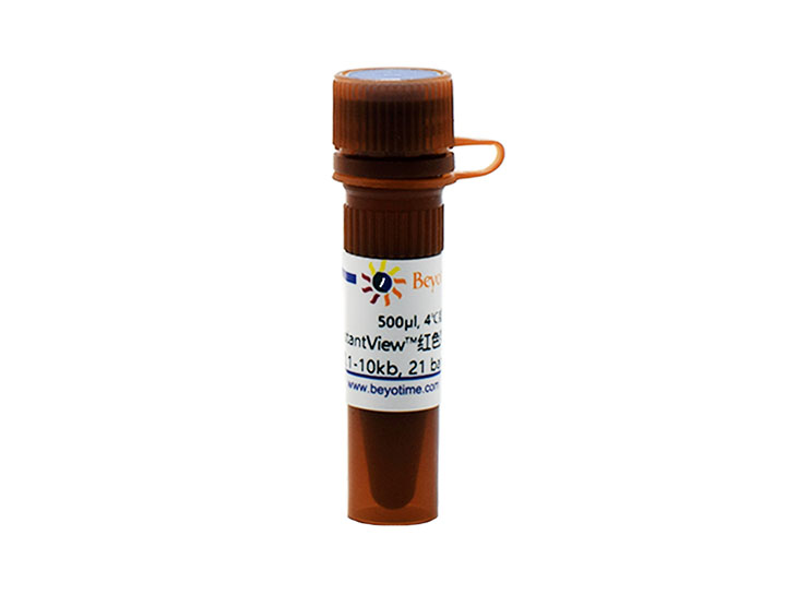 InstantView红色荧光DNA Ladder(0.1-10kb， 21 bands， BeyoRed) - Beyotime/碧云天