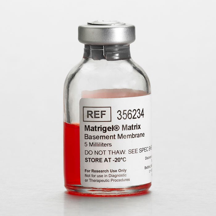 Corning Matrigel 基质胶，标准型，含酚红(356234)