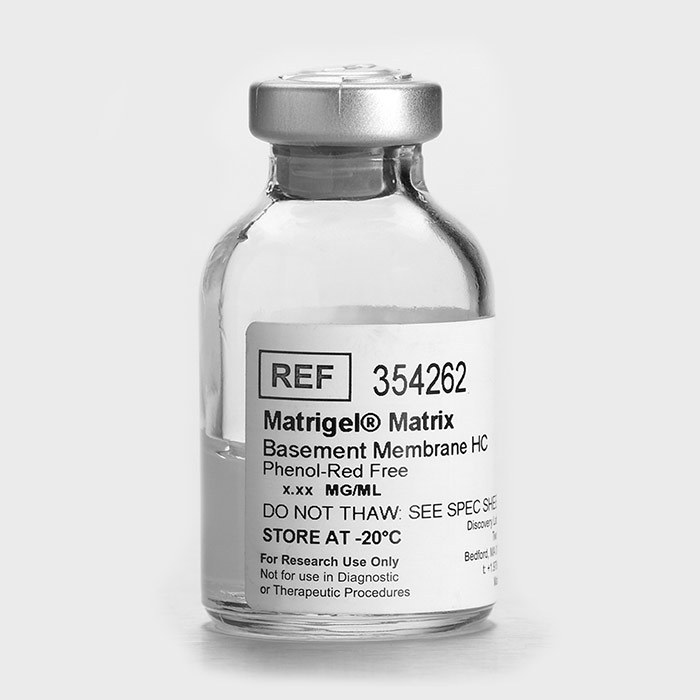 Corning Matrigel 基质胶，高浓度 (HC)，无酚红(354262)