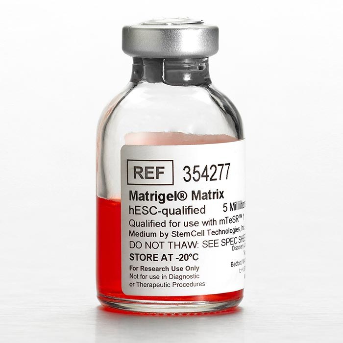 Corning Matrigel 基质胶，经干细胞验证，适用于hESC(354277)