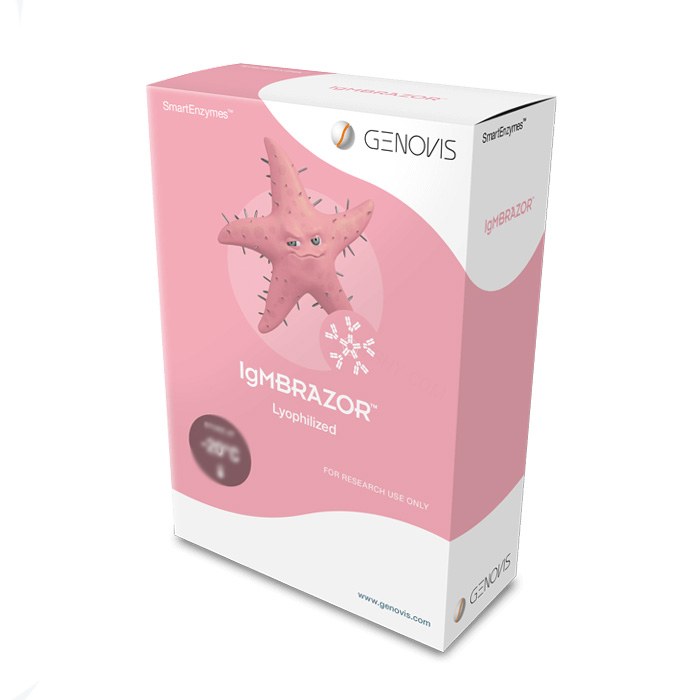 酶 IgMBRAZOR Lyophilized 1000 units