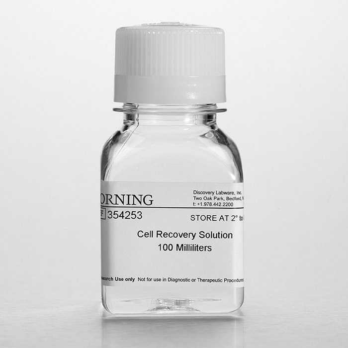 Corning Cell Recovery Solution，细胞回收液(354253)