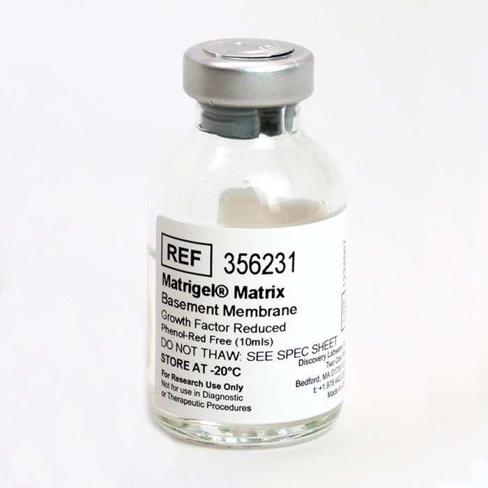 Corning Matrigel 基质胶，标准型，生长因子减量(GFR)，无酚红(356231)
