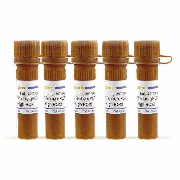 BeyoFast Probe qPCR Mix (2X, High ROX)