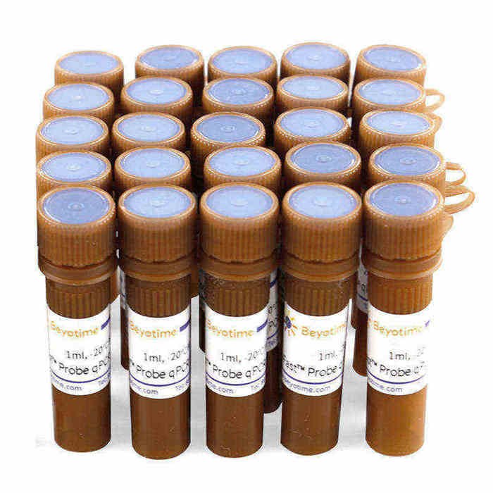 BeyoFast Probe qPCR Mix (2X) - Beyotime/碧云天