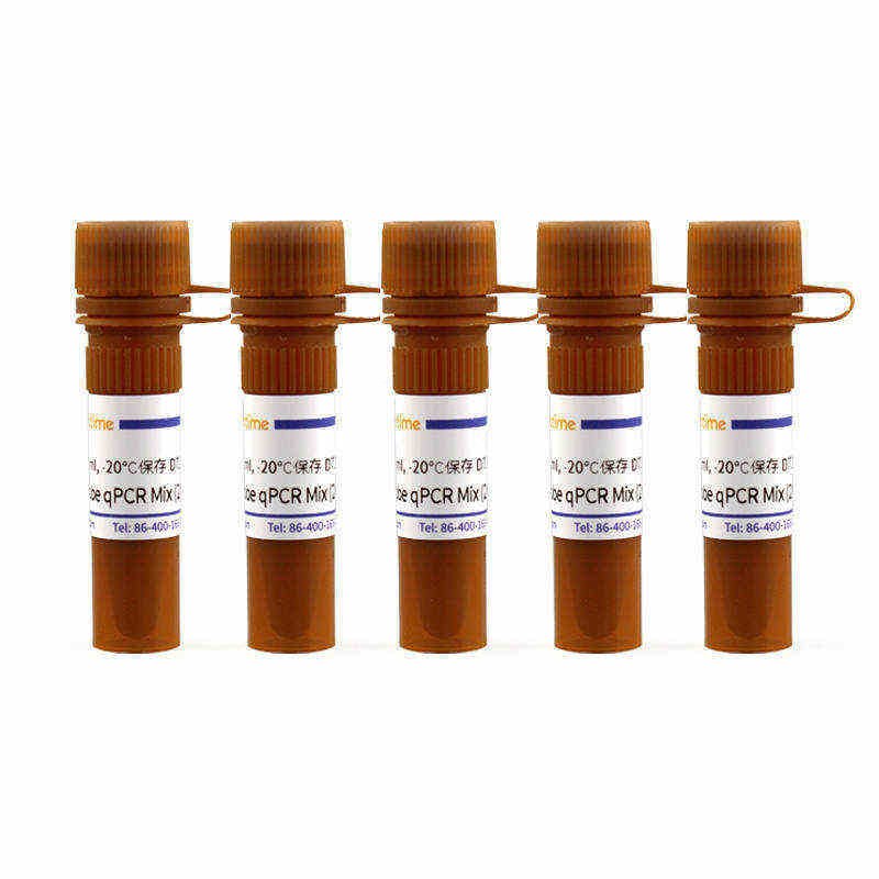 BeyoFast Probe qPCR Mix (2X)
