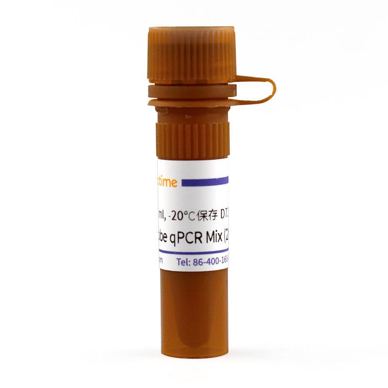 BeyoFast Probe qPCR Mix (2X) - Beyotime/碧云天