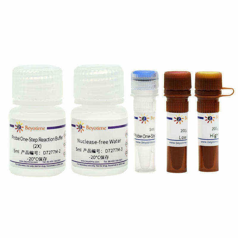 BeyoFast Probe One-Step qRT-PCR Kit - Beyotime/碧云天