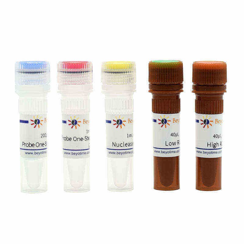 BeyoFast Probe One-Step qRT-PCR Kit - Beyotime/碧云天
