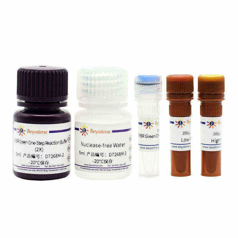 BeyoFast SYBR Green One-Step qRT-PCR Kit - Beyotime/碧云天