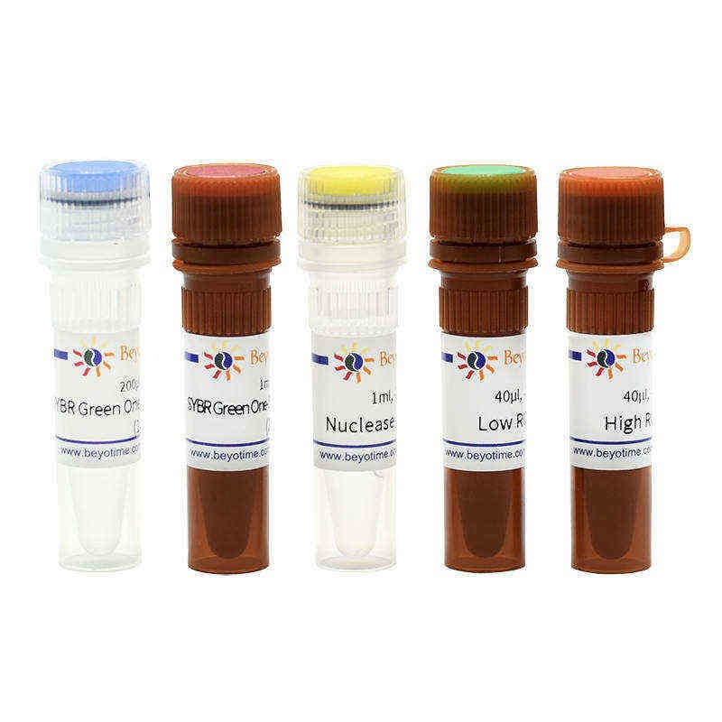 BeyoFast SYBR Green One-Step qRT-PCR Kit - Beyotime/碧云天