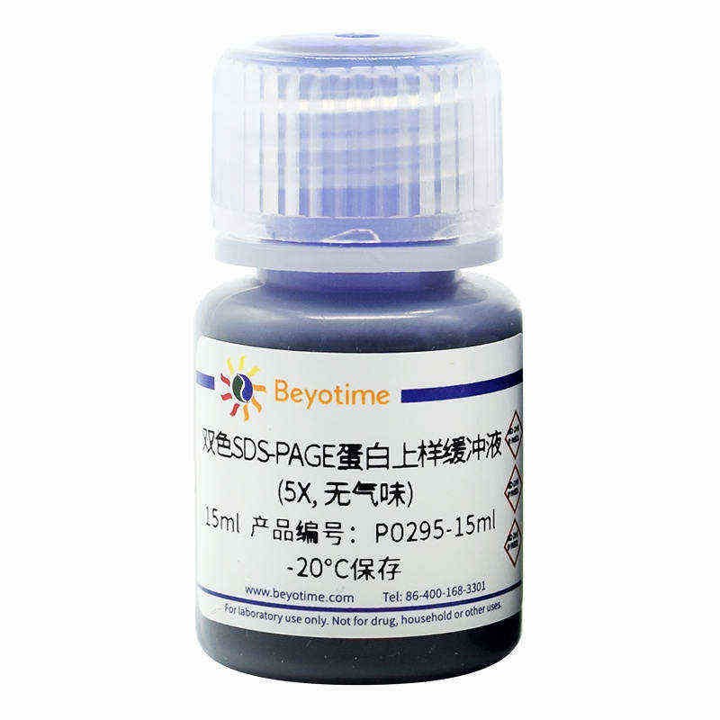 双色SDS-PAGE蛋白上样缓冲液(5X,无气味) - Beyotime/碧云天