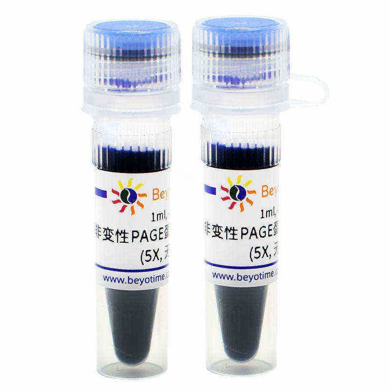 非变性PAGE蛋白上样缓冲液(5X,无气味) - Beyotime/碧云天