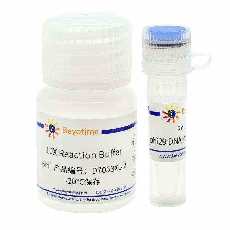 phi29 DNA Polymerase - Beyotime/碧云天