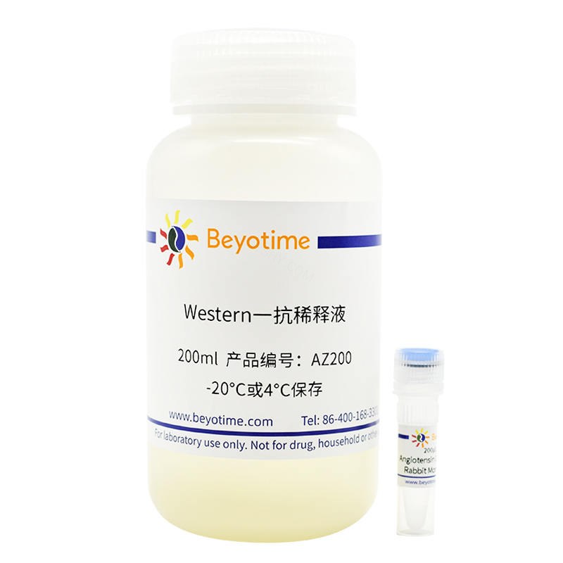 Angiotensin Converting Enzyme 2 Rabbit Monoclonal Antibody抗体